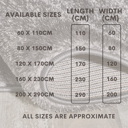 Super Soft Carpet Mat Luxury Shaggy Rugs for lounge Living Room Bedroom Floor UK