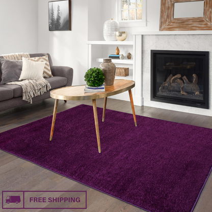 Super Soft Carpet Mat Luxury Shaggy Rugs for lounge Living Room Bedroom Floor UK