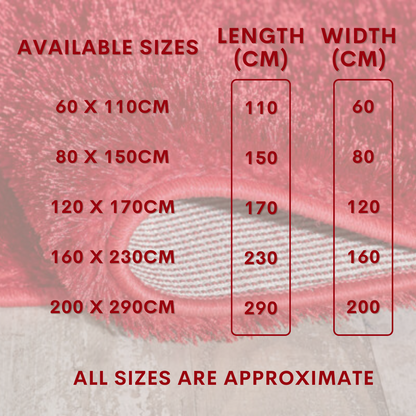 Super Soft Carpet Mat Luxury Shaggy Rugs for lounge Living Room Bedroom Floor UK