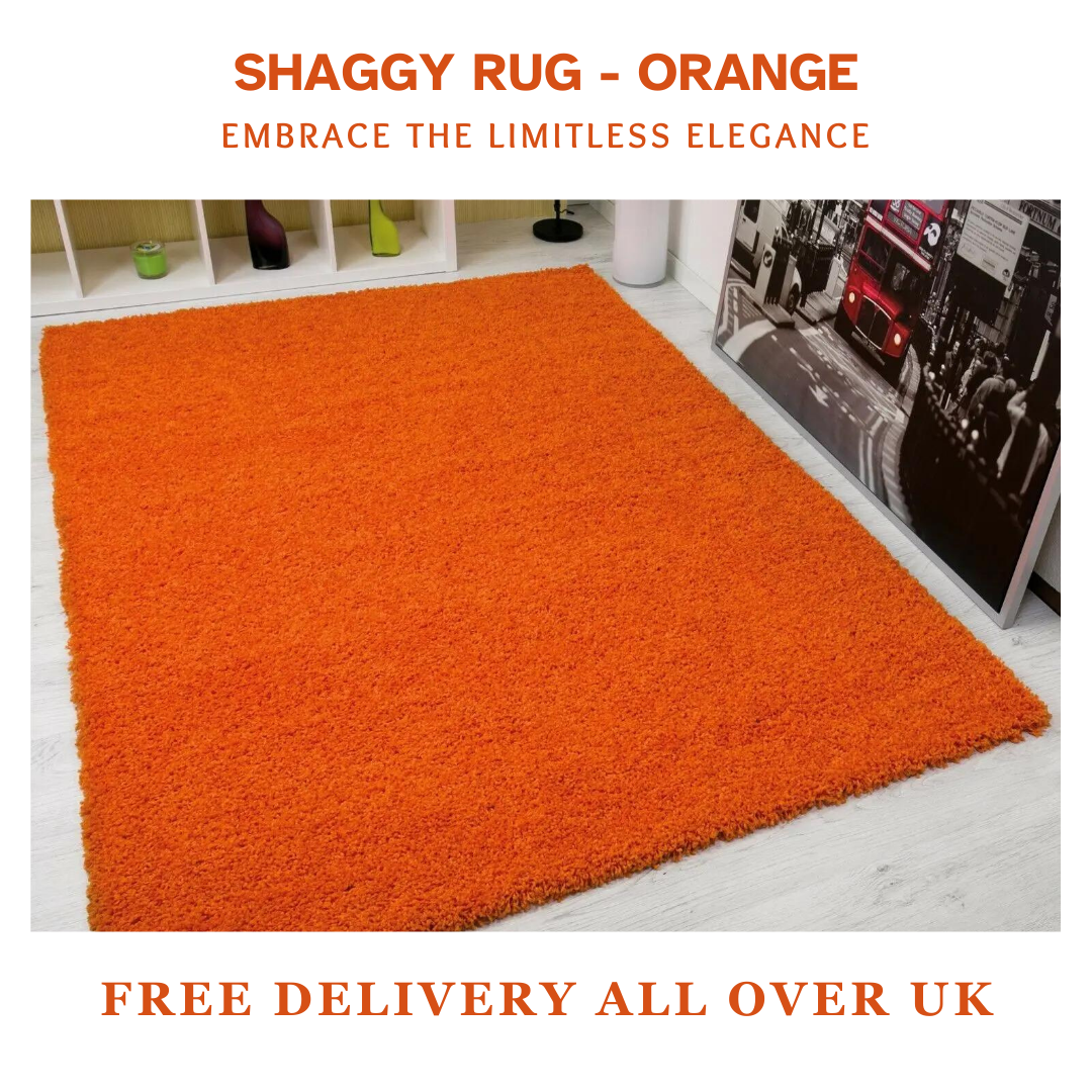 Modern Shaggy Rug Big Fluffy Carpets Floor Mats for Bedrooms Living Rooms Rug UK