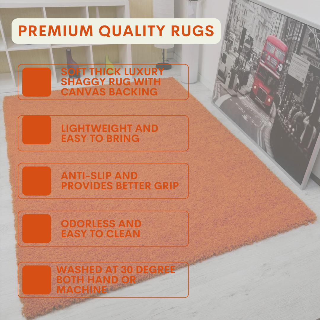 Modern Shaggy Rug Big Fluffy Carpets Floor Mats for Bedrooms Living Rooms Rug UK