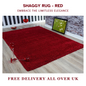 Modern Shaggy Rug Big Fluffy Carpets Floor Mats for Bedrooms Living Rooms Rug UK
