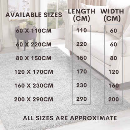Modern Shaggy Rug Big Fluffy Carpets Floor Mats for Bedrooms Living Rooms Rug UK