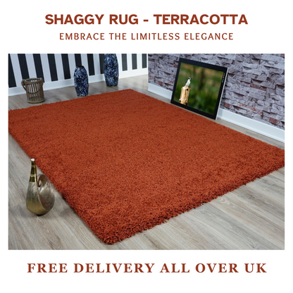 Modern Shaggy Rug Big Fluffy Carpets Floor Mats for Bedrooms Living Rooms Rug UK