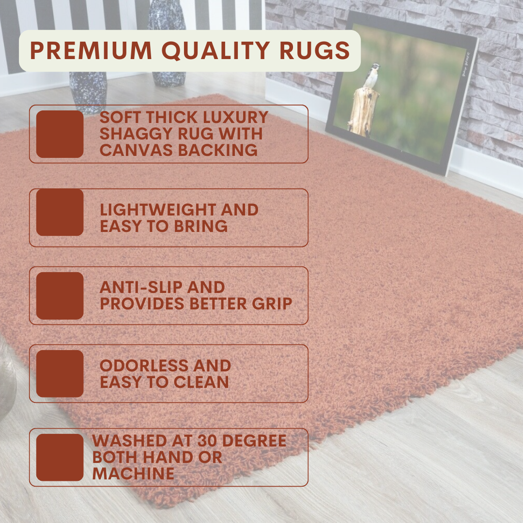 Modern Shaggy Rug Big Fluffy Carpets Floor Mats for Bedrooms Living Rooms Rug UK